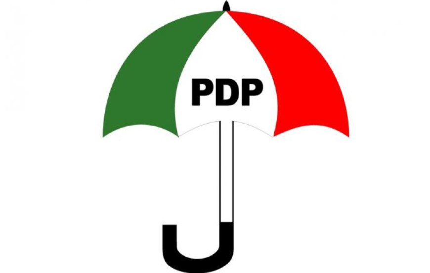 Defections: PDP remains alive, will rise again in 2027 – BoT Chair Wabara