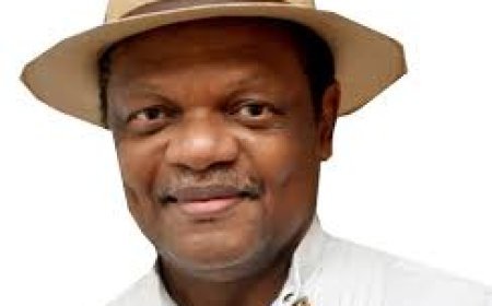 Poll: I’m disappointed with INEC’s performance – Atedo Peterside