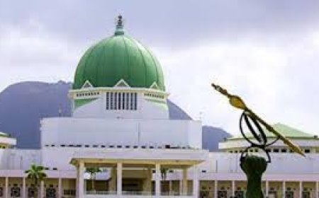 Two women clinch Kogi Assembly seats