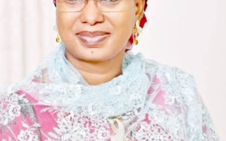 Don't Truncate Adamawa People's Will-APC to PDP