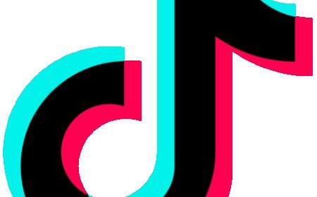 Bleak Times for TikTok as US, Canada, Britain, Belgium, EU, Others Restrict Use