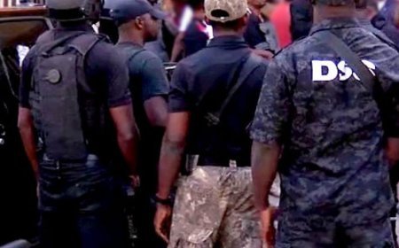 Interim Government Plot is Real-DSS