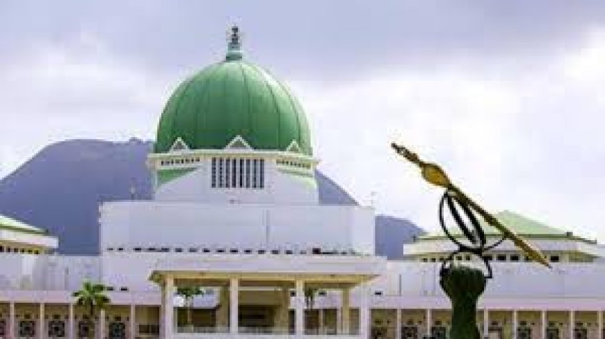 10th NASS: 18 N-Central Senators-elect kick over zoning of Senate president, Speaker