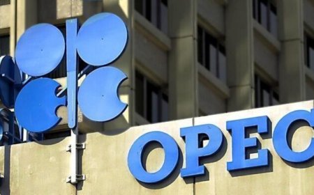 Crude Oil Price Surges Barely 24 Hours After Production Cut