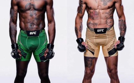 UFC Pundits Differ over Adesanya-Pereira