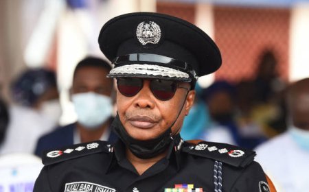 Adamawa Rerun: IGP Withdraws Police Commissioner