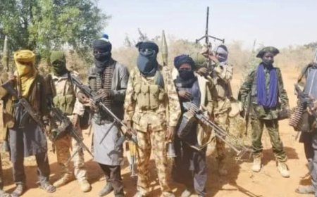 Terrorists Abduct 50 Persons In Niger State Community