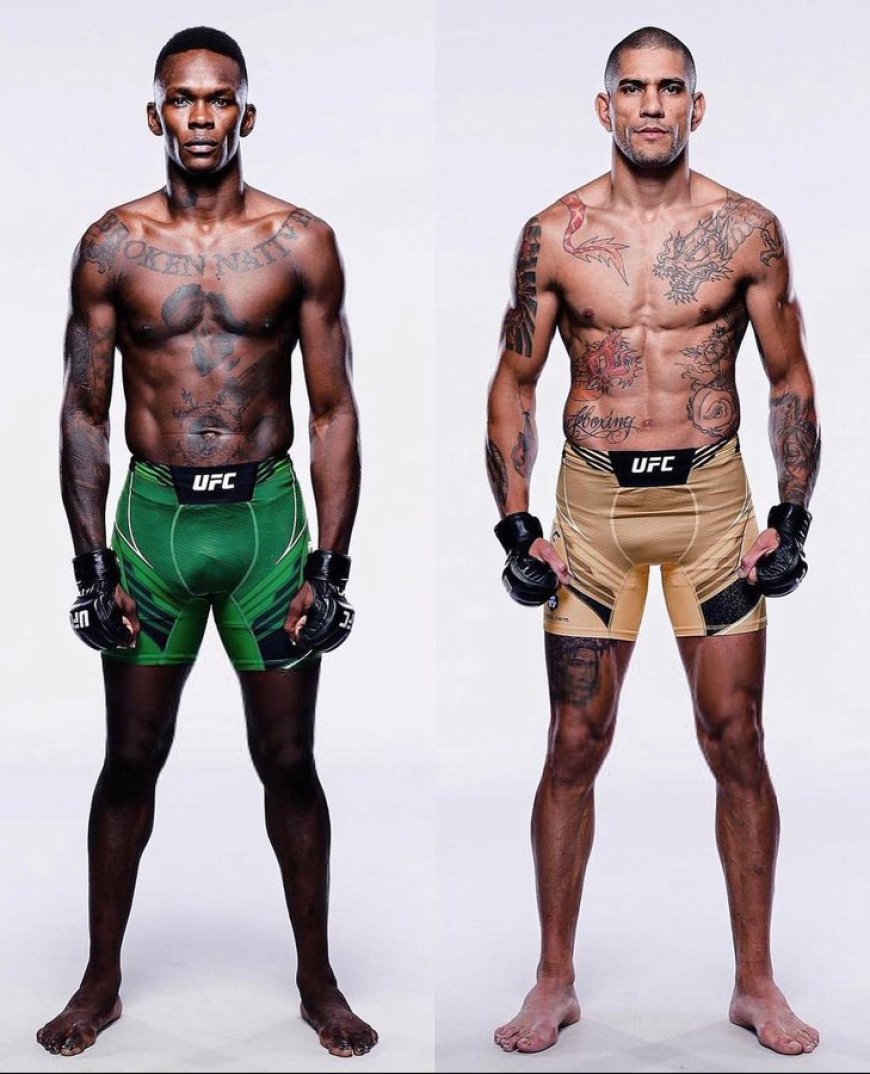 UFC Pundits Differ over Adesanya-Pereira