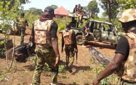 Troops Rescue More Chibok Girls