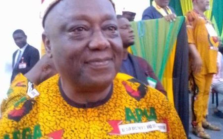 Ahead 2025 Guber: Anambra APGA Elects Ex PDP Chairman As New Boss