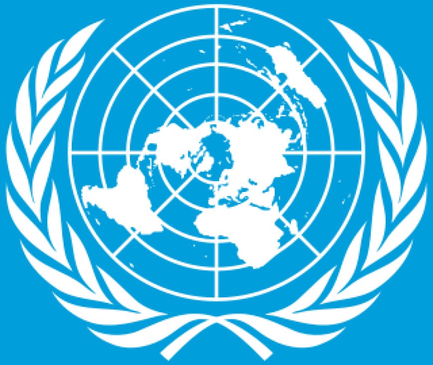 UN, FG seek more funds for malnourished, vulnerable in North East