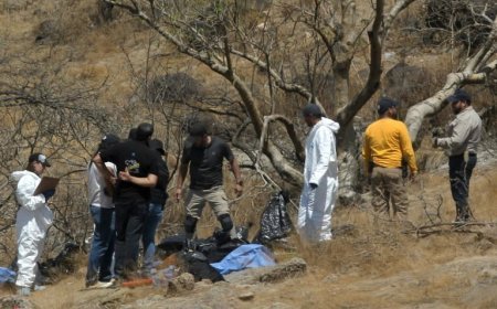 Bags Containing Human Body Parts Found In Mexico