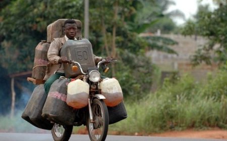 Fuel Subsidy Removal: Black Market Blacks Out In Benin Republic, Togo, Niger, Cameroun, Chad