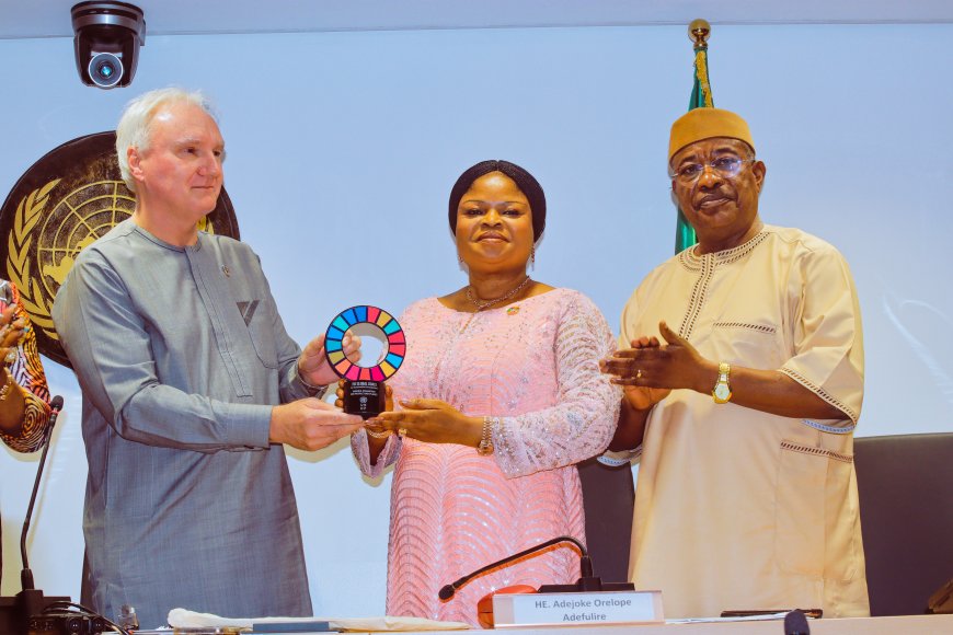 UNDP Honours Adefulire Amidst Showers of Accolades