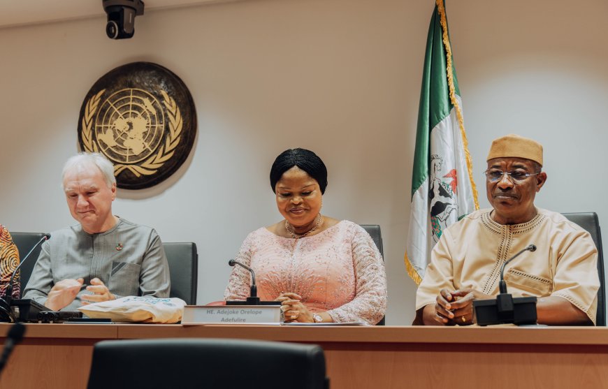 UNDP Honours Adefulire Amidst Showers of Accolades