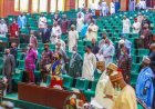 Angry Reps Summon NAPTIP DG Over Unlawful Detention Of Alliance Hospital CEO