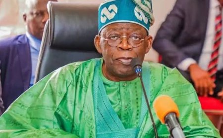Tinubu Appoints 19 Personal Aides