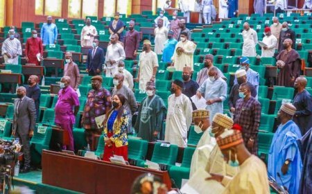Reps query banks over N11.632 trn FG revenue collected