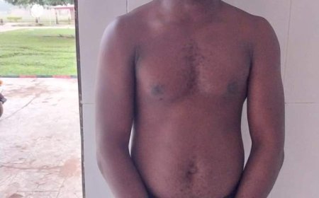 Nigerian Army Troops Halt Major Ammo Haul Into Nigeria