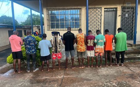Anambra Police Nab 9 Over Rape, 2 For Defilement