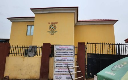 Contract For 40-Bed Hospital In Mushin Lagos Fully Executed -  OSSAP-SDGs