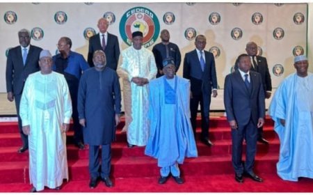 Niger Coup: ECOWAS Okays Use Of Force
