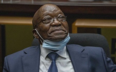 Zuma Returns To Prison, Released An Hour Later