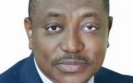 DSS Picks Up Masanawa, NIRSAL Boss,