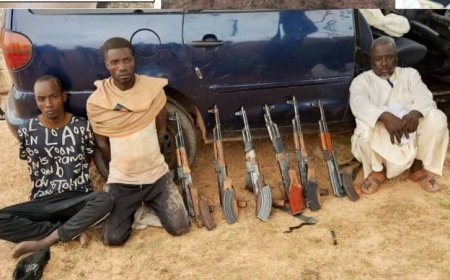 Niger's Garde Internationale Intercepts Boko Haram's International Arms Trafficking Gang