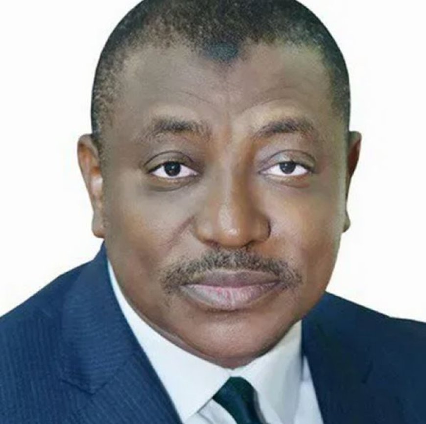 DSS Picks Up Masanawa, NIRSAL Boss,