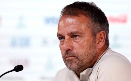 Hansi Flick Sacked As Germany Head Coach, Appoint Replacement