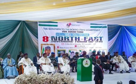 Influx Of Bandits: North East Governor's Forum Raises The Alarm
