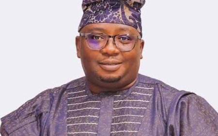 Explosion At Kainji Hydro Caused Nationwide Blackout-Power Minister