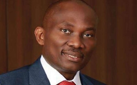 Appeal Court Sacks Elumelu, Rules Okolie, LP Candidate Winner