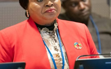 UNGA 78: Orelope-Adefulire, EU, UN, Others Speak On Efforts To Accelerate SDGs Progress Through INFFs