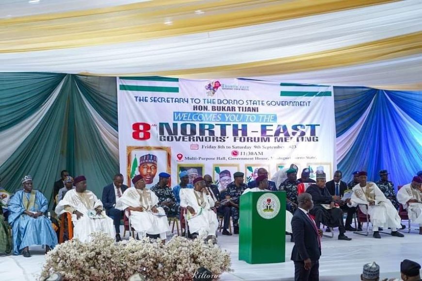 Influx Of Bandits: North East Governor's Forum Raises The Alarm