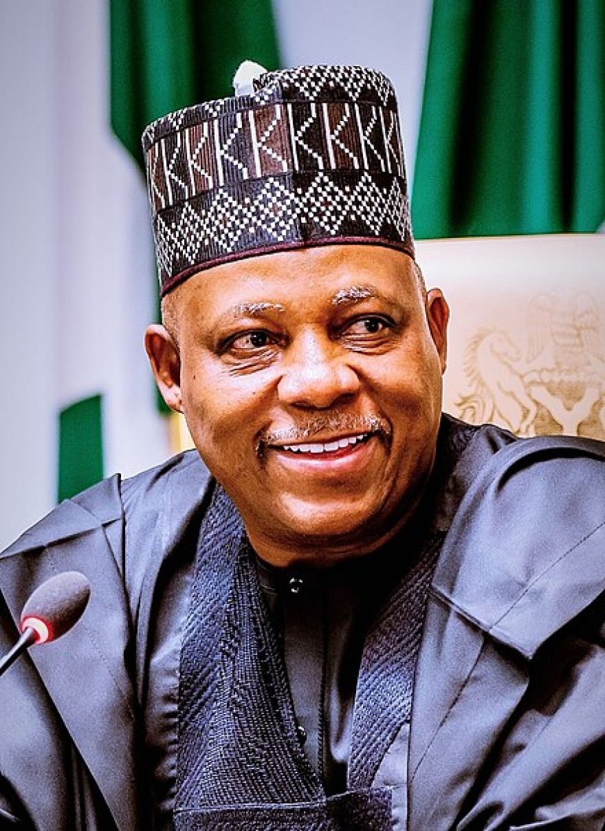 THE SIGNIFICANCE OF SHETTIMA’S CLARION CALL TO ALL NIGERIANS.