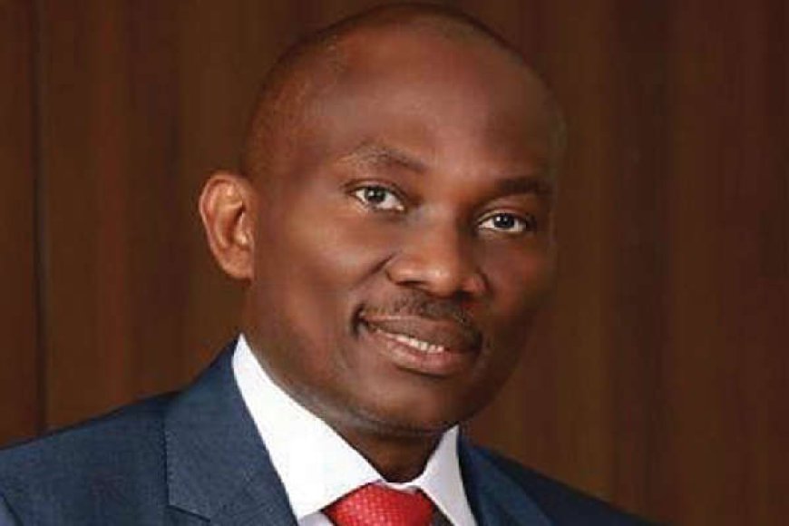 Appeal Court Sacks Elumelu, Rules Okolie, LP Candidate Winner