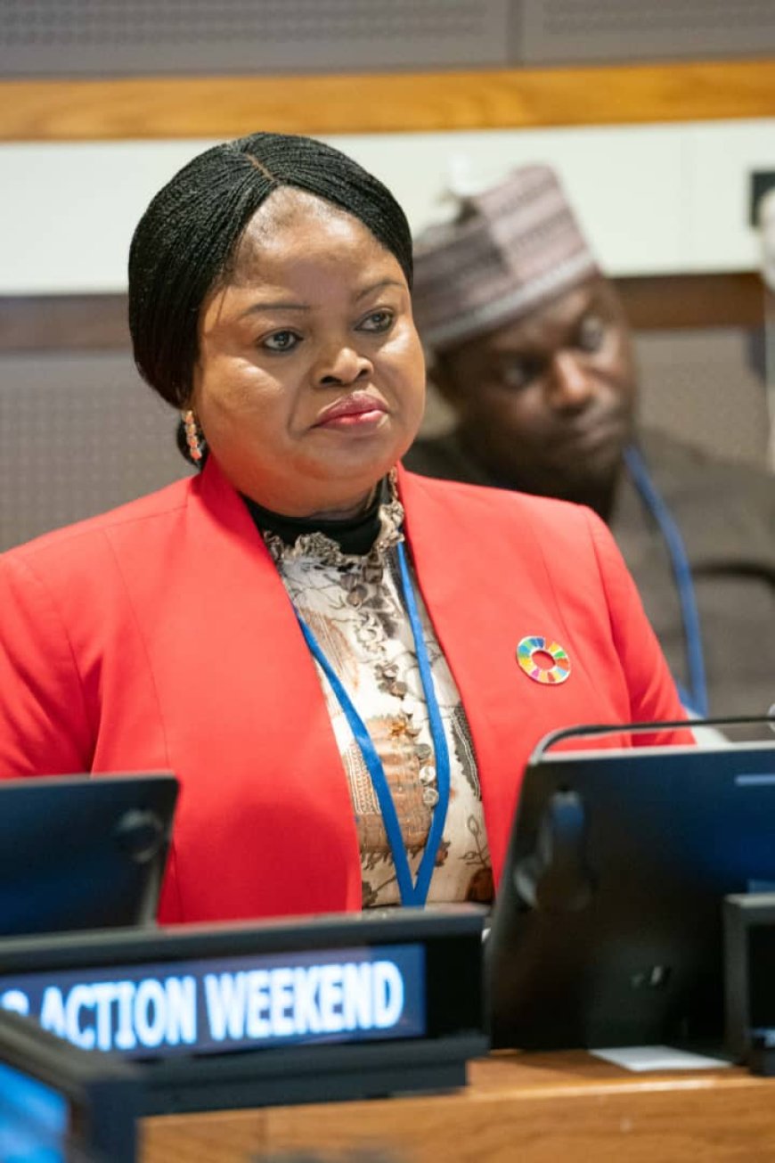 UNGA 78: Orelope-Adefulire, EU, UN, Others Speak On Efforts To Accelerate SDGs Progress Through INFFs