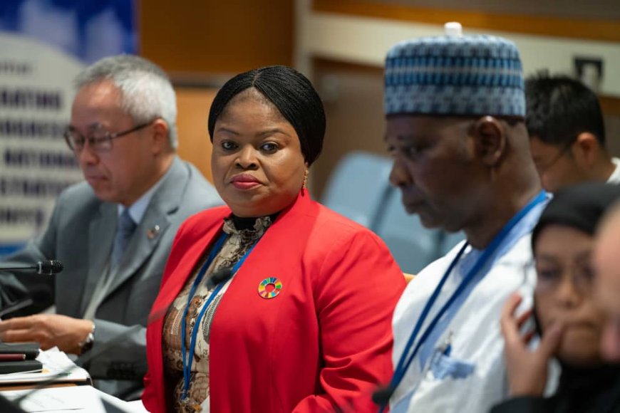 UNGA 78: Orelope-Adefulire, EU, UN, Others Speak On Efforts To Accelerate SDGs Progress Through INFFs