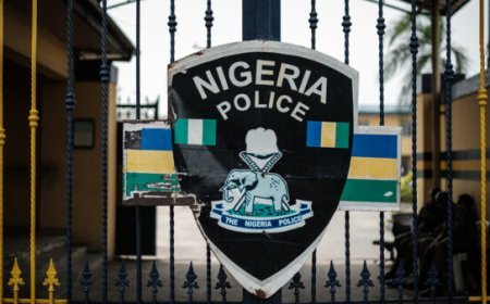 3 Enugu residents sue police over alleged illegal detentions