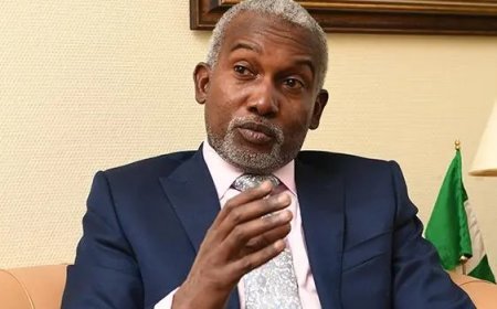 Foreign Affairs Minister, Stakeholders, Set 4 Year Strategic Vision