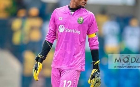 Insurance Goal Tender Receives Super Eagles' Call-Up