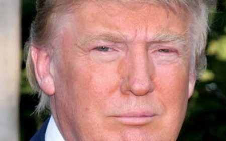 Colorado Supreme Court Bars Trump From Presidential Elections