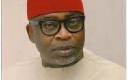 Don't Burn Your Homes, Okechukwu Pleads With Compatriots