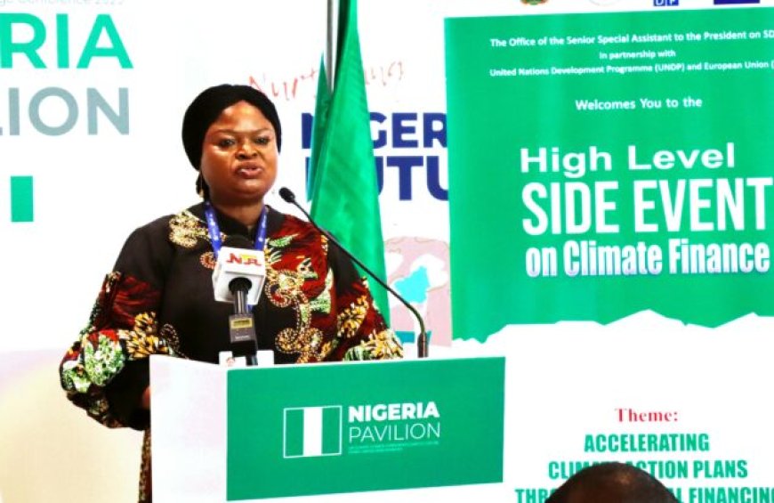 COP28: Orelope-Adefulire, UNDP, EU Push For Acceleration Of Climate Action Plan Through INFF