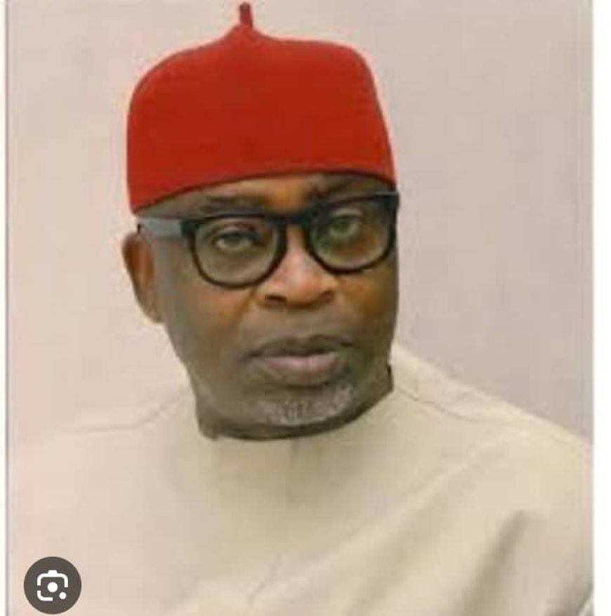 Don't Burn Your Homes, Okechukwu Pleads With Compatriots