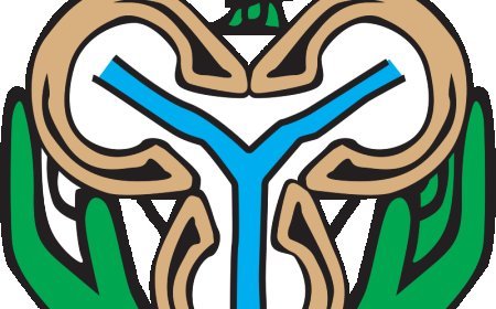 Sacked Bank Boards: CBN Appoints New Officials for Union, Keystone, Polaris