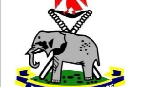 Oraifite Activist in Legal Custody-Anambra Police