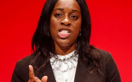 UK Labour Party, LP, Axes British-Nigerian MP